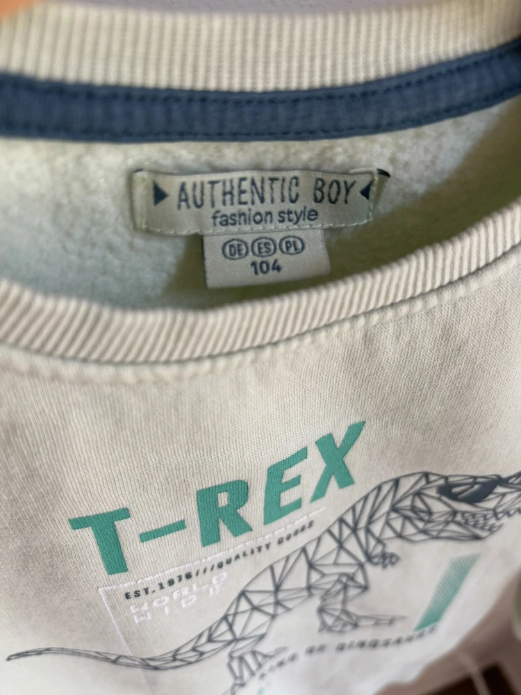Mikina Authentic Boy, vel. 104